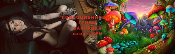 ПСИЛОЦИБИНОВЫЕ ГРИБЫ Бронницы