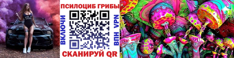 Галлюциногенные грибы Cubensis  Мосальск 